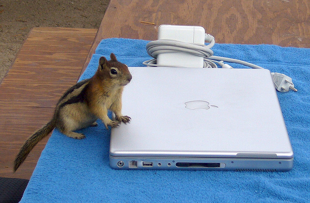 Ābolu diena: gūstiet vislabāko labumu no vecākiem MacBooks mikroshēmas