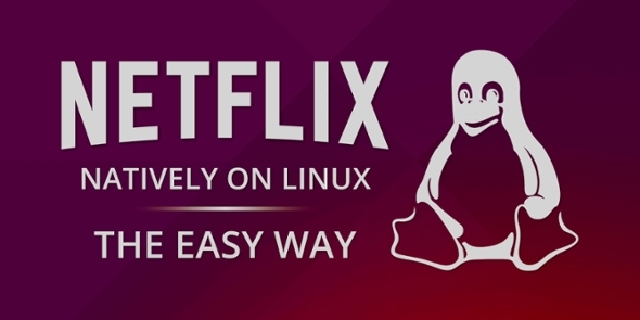 biļetens-netflix-on-linux-easy-way-muo