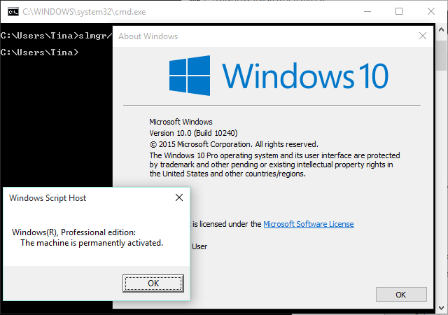 Windows 10 Build 10240 licence