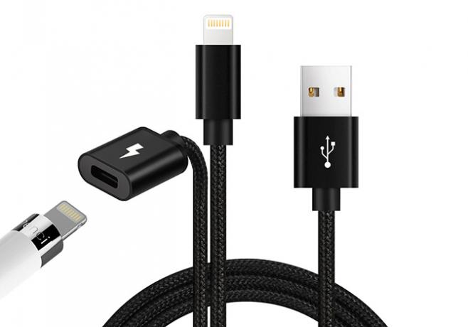 Dreamvasion 2-in-iPad un Apple Pencil Charger Cable