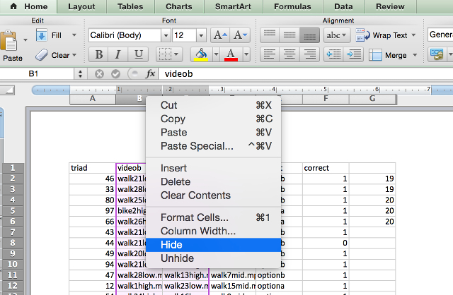 excel-hide-columns