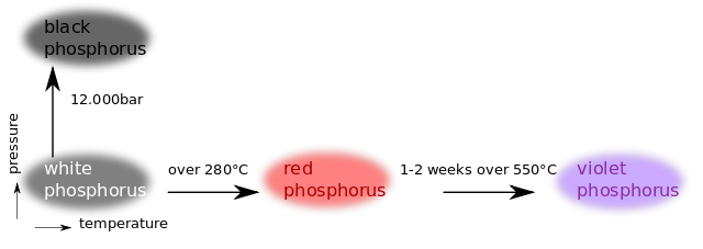 Fosfors-Allotropes.svg