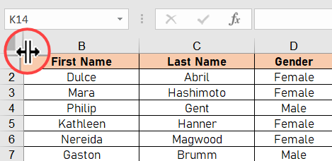 Nerādīt pirmo sleju programmā Excel