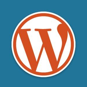 pielāgotus pastu veidus WordPress