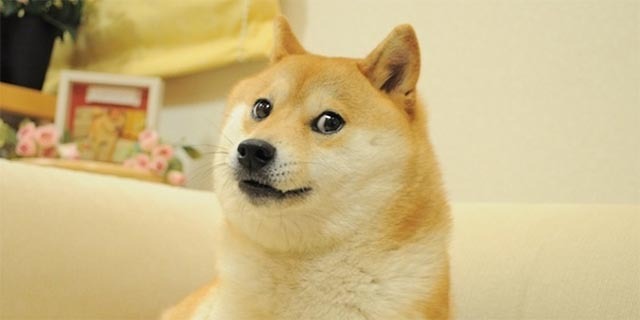 dogecoin-kas-ir-doge