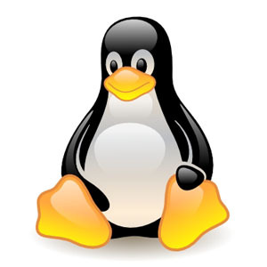 Linux komandas