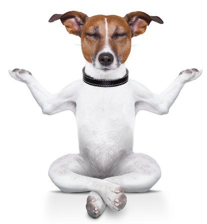 8 sīki ieteikumi tūlītējai minimālisma pārlūka pieredzei meditatingdog