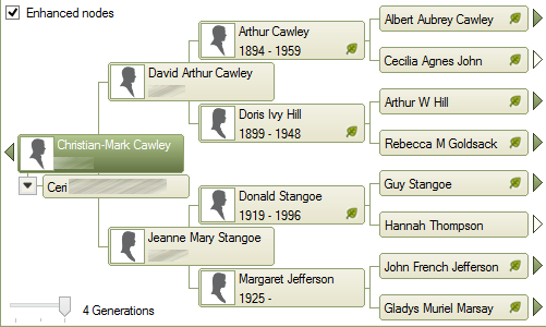 Pētiet savu ģimenes koku tiešsaistē Family tree image2 1 1