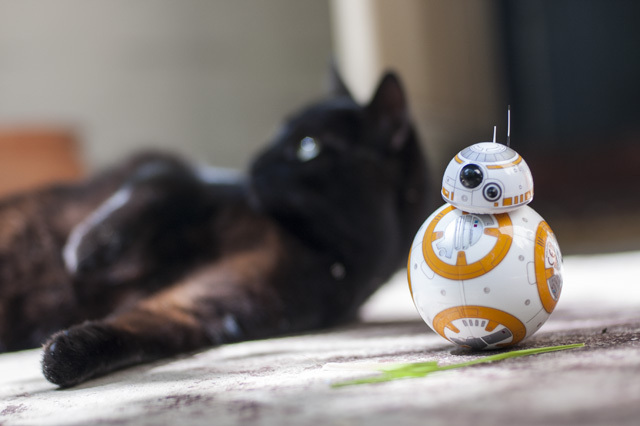 Kaķu spēks: Sphero Star Wars BB-8 apskats un Giveaway DSC 0033