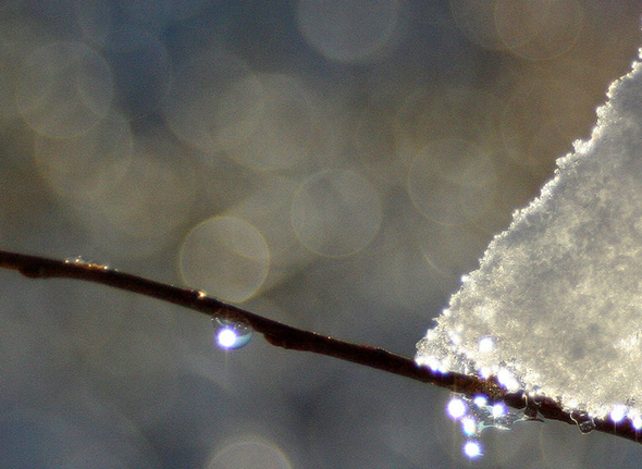 fona attēli [18]