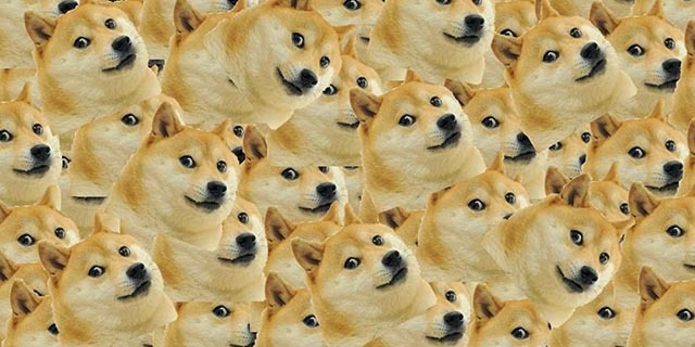 dogecoin-community-users