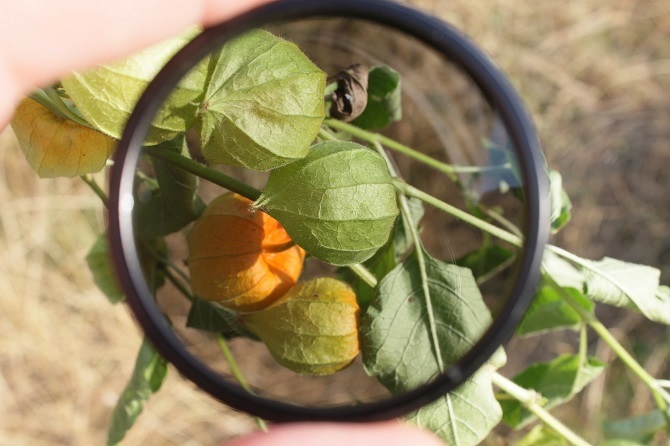 fotografēšanas padomi - polarizatora objektīvs