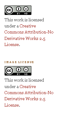 Creative Commons licenču veidi