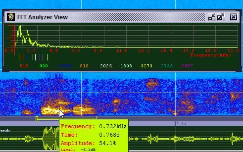 Sonogram Visible Voice - jaudīga balss spektrogrammu programmatūra sono9