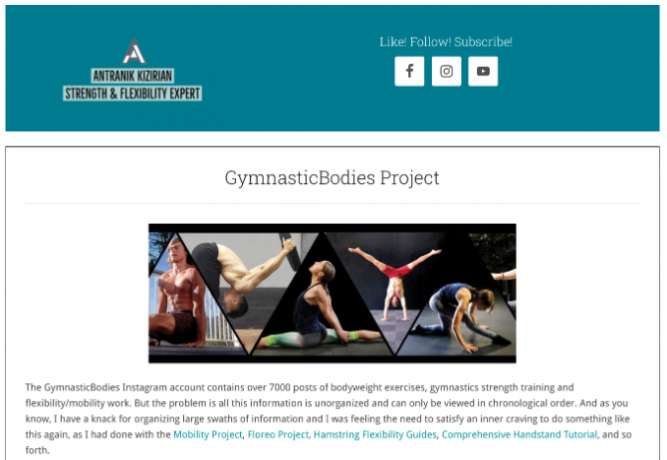 Projekts GymnasticBodies ir glīti organizēta labāko vingrinājumu kolekcija no GymnasticBodies Instagram konta, lai būtu ērti pārlūkot