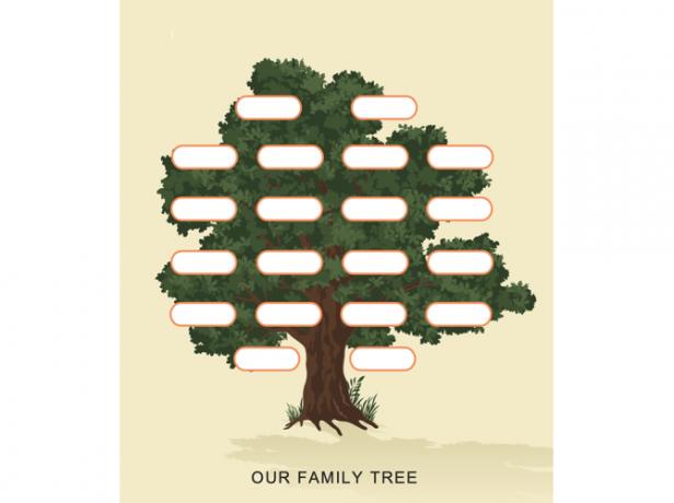 Ģimenes koka veidne Tree-TemplateLab