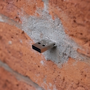 usb bailes piliens