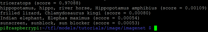 TensorFlow dinozauru klasifikācijas izlaide