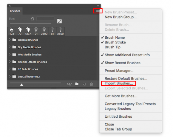 Kā instalēt sukas Adobe Photoshop. Importējiet Photoshop sukas