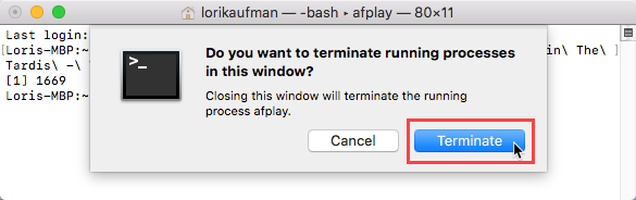 Noklikšķiniet uz Pārtraukt, lai process termināļa logā būtu Mac